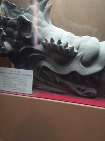 DCIM0580.jpg