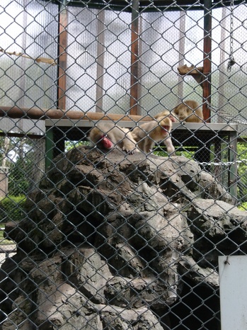 IMG00048.jpg