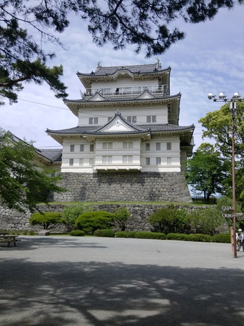 IMG00049.jpg