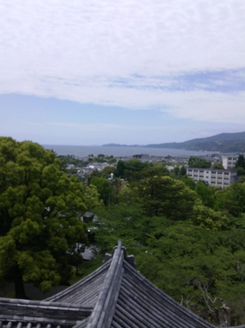 IMG00050.jpg