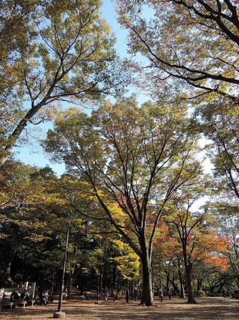 DSCN1393.jpg